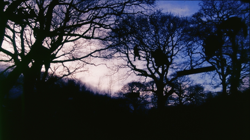 21-Selar